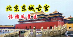 大鸡巴插进视频在线播放中国北京-东城古宫旅游风景区